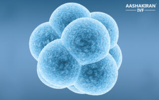 Aashakiranivf-Embryo-Transfer